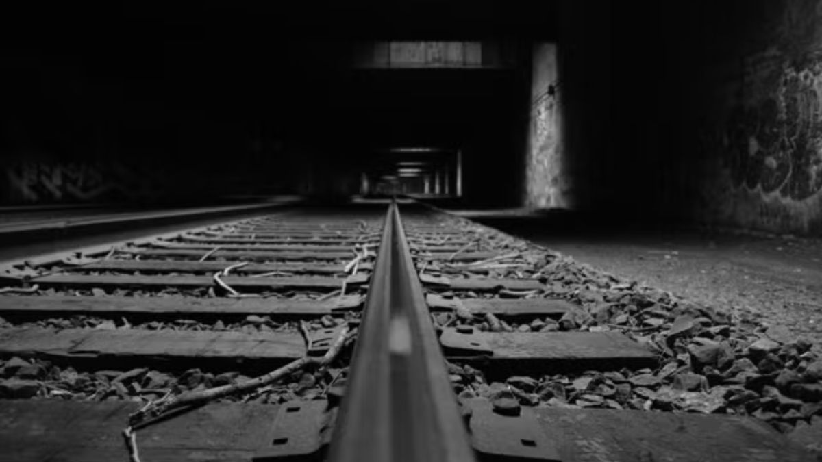 tran ny tube